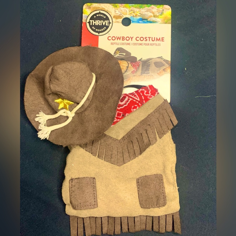 Pet Costume